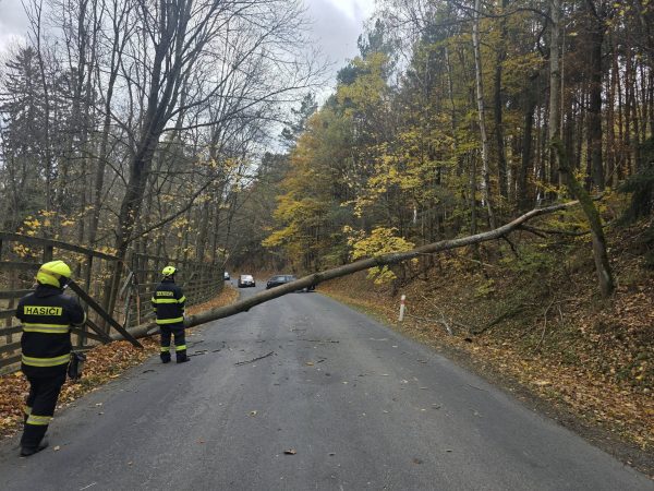 571137959_1242479981258951_60872215804644164_n