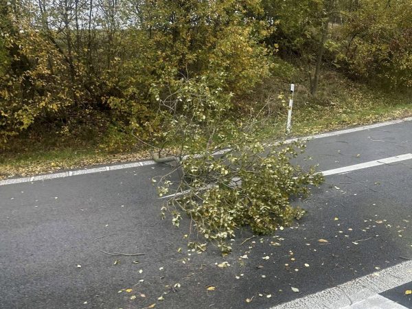 571339469_1242479867925629_3260840890489459973_n