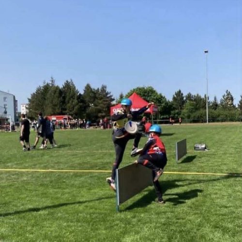 stažený soubor (12)